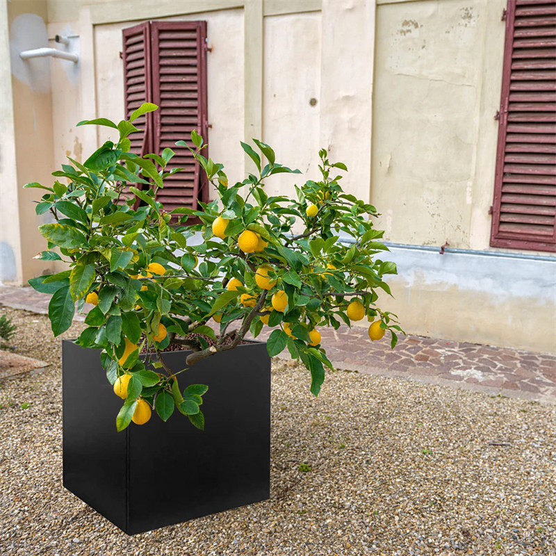 Pots de fleurs d'extérieur